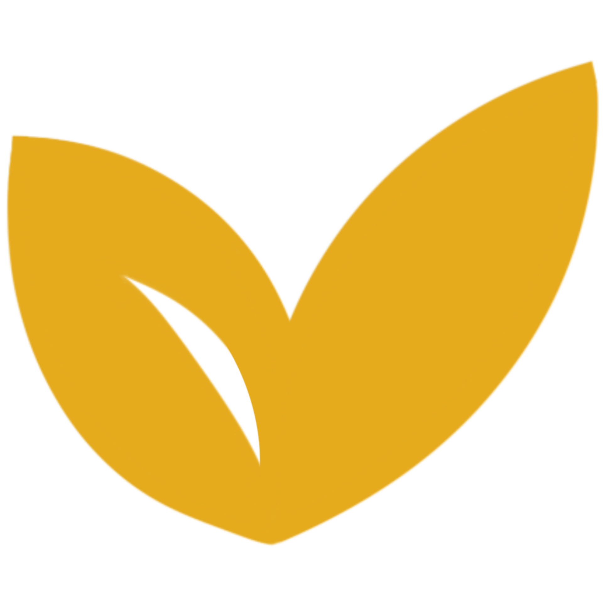 Sempli5_edited.png