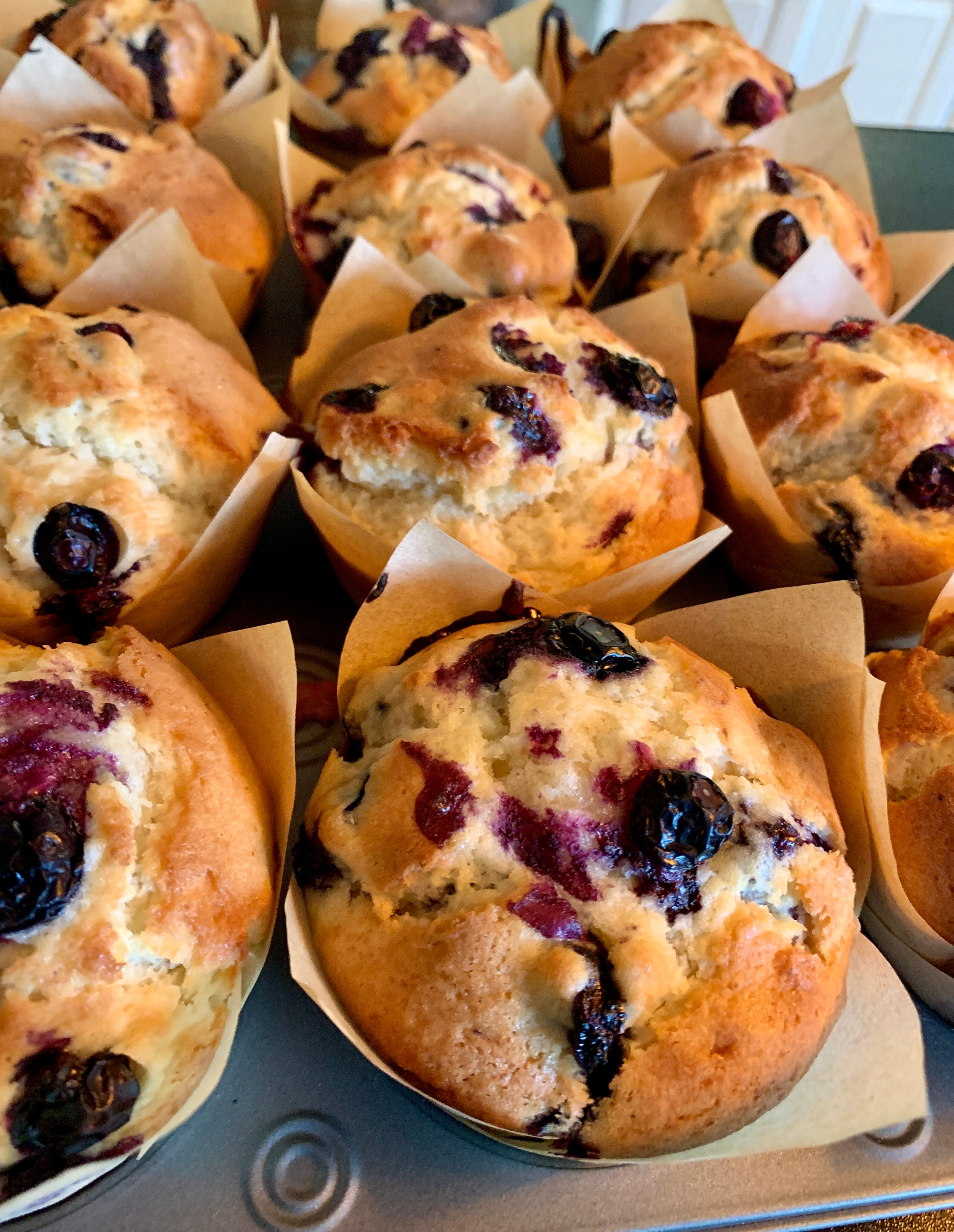 LG Protein Breakfast Muffin (Fresh Blueberry)