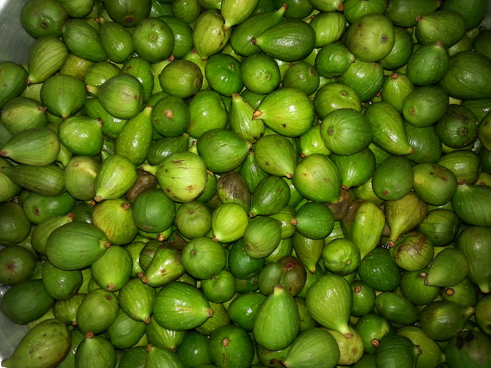 20130815_115818.jpg
