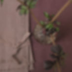 Thumbnail: Dusk pink linen napkin pair