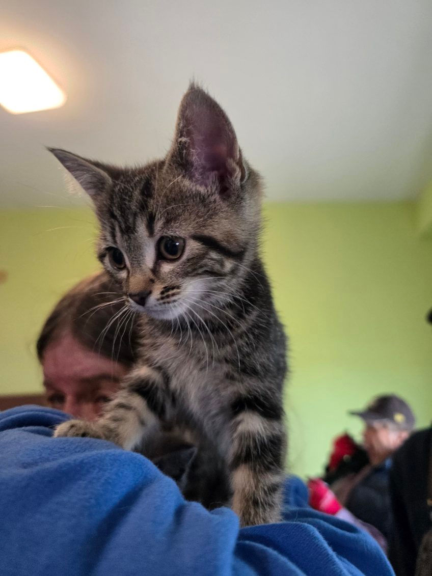 Thumbnail: Lucy Glasgow Litter