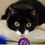 Thumbnail: Brandi Turner Valley