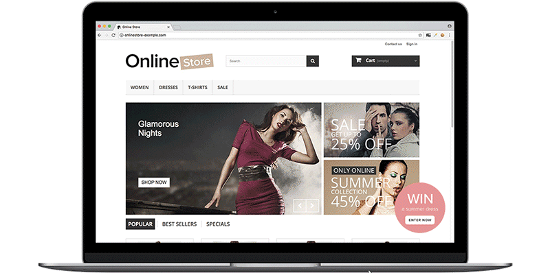 This is a sample screenshot of a virtual terminal.