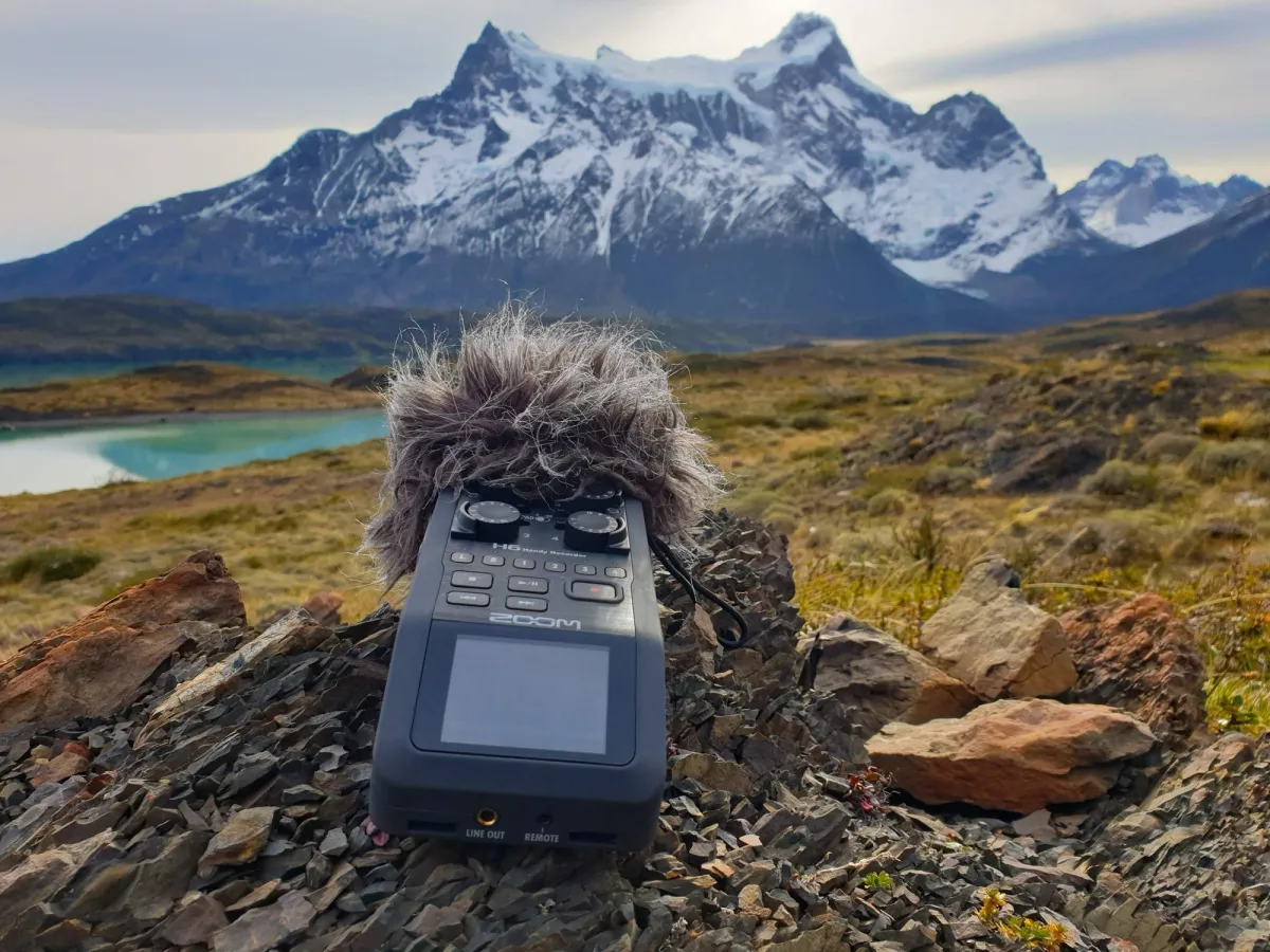 sound art.webp