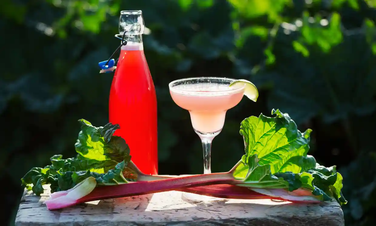 cocktails.webp