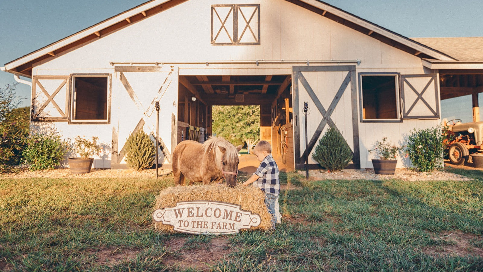 The Farm | Sassy Stables | Horseback Riding Greenville SC