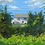 Thumbnail: Across the Weeds