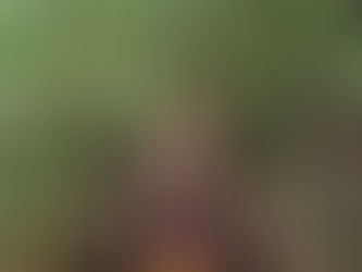 A Short Introduction