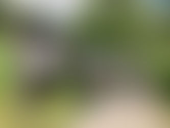 Outdoorsy Things to do in Uppsala