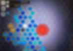 Cell Cycle
