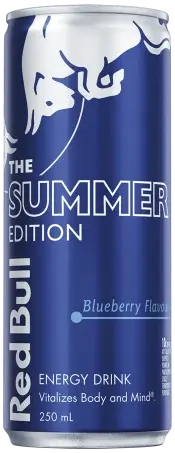 Red Bull Summer Blueberry 12pk (250ml)