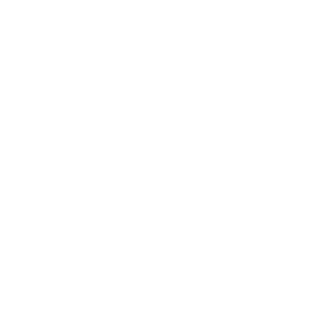 VG Bags Logo