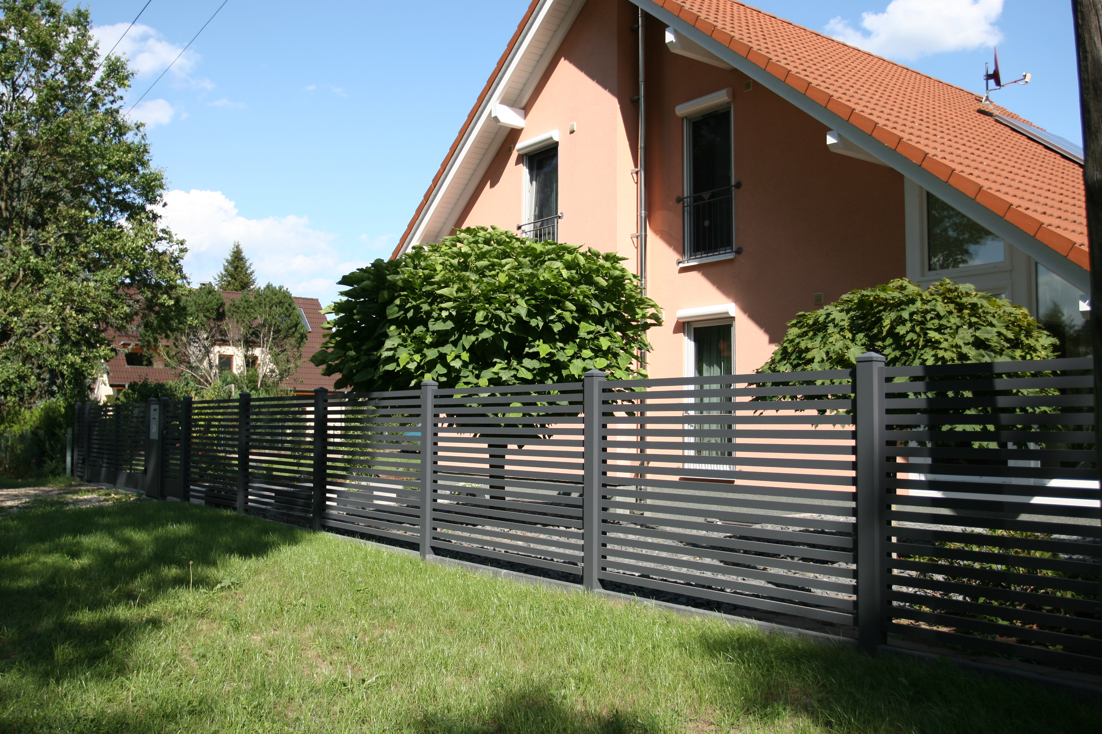 FZ.A.3 Zaunfelder im Sonnenlicht