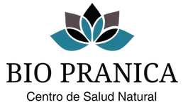 Logo de Bio Pranica: centro especializado en terapias naturales y formación profesional en Chile