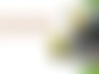 A Mais Paulista das Avenidas