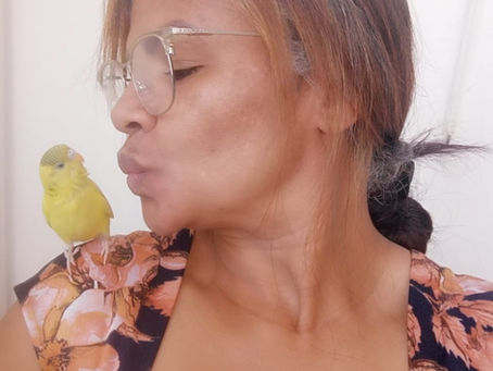 Pausa na Faxina