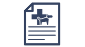 Cópia de Design sem nome (7).png