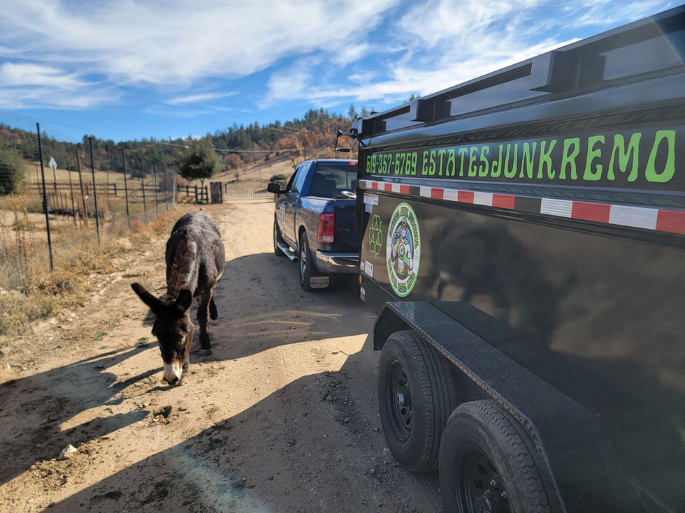 Junk haul Julian Mountains