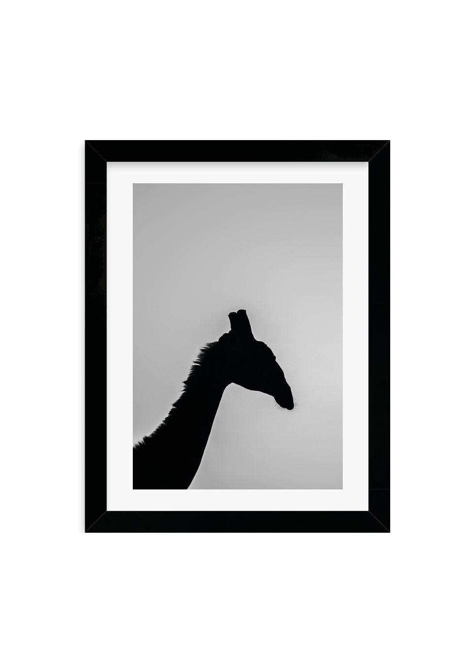 Miniaturbild: shadow Giraffe