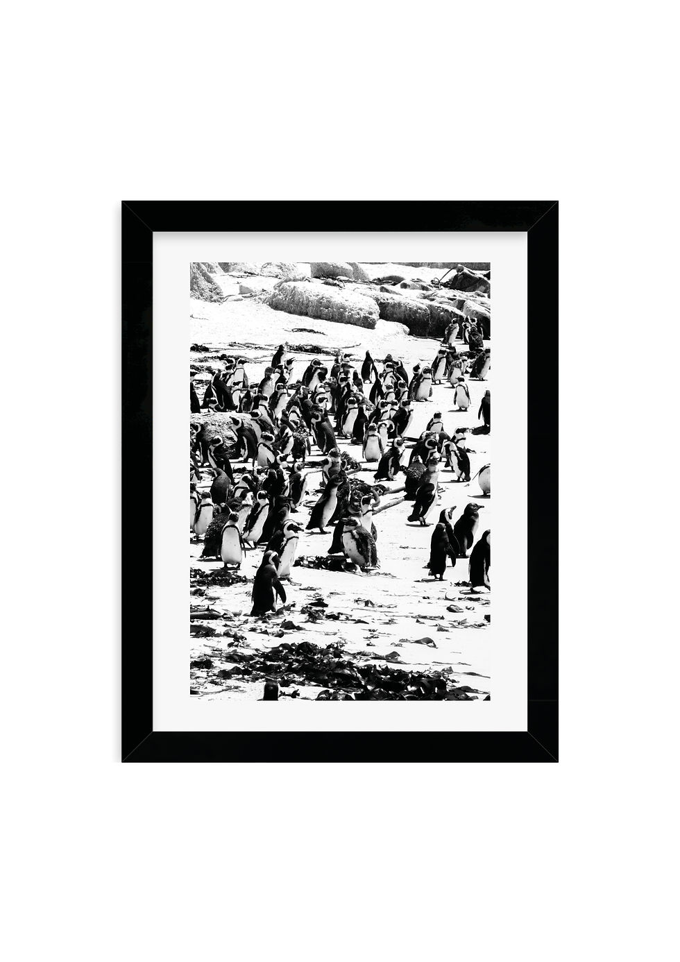 Miniaturbild: chaotic Penguins