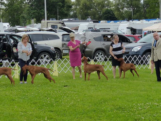 2018 Specialty Show Results