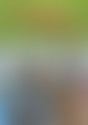 2017 Tibor Reiter Award Recipient