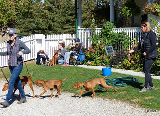 October Fun Day Photos