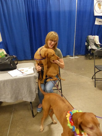 VSO Booster & Meet the Breed