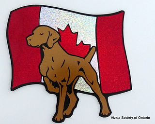 Cdn Flag