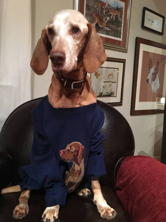 Rescue Update - Grandpa