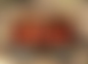 November 2018 "Pin-Up" Vizslas