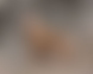 February 2018 "Pin Up" Vizsla