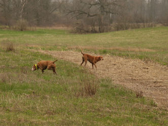 May 2019 Field Test Photos