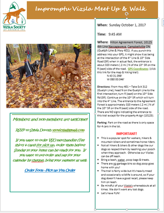 Impromptu Vizsla Meetup, Oct 1/17!
