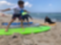 Beginner Surf Lesson