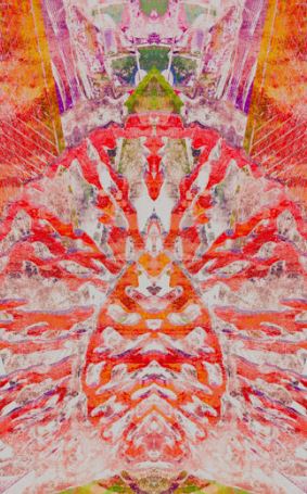 Louise Vidaurri - Digital artist and photographer