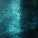 Vanessa Perry - The abundant nature artist and photographer