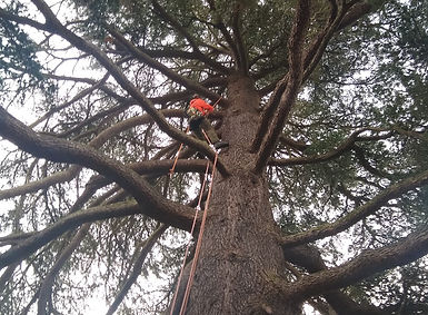 OGILVIEHAYES (19).jpg