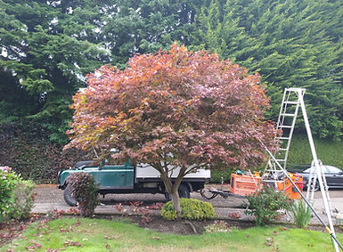 OGILVIEHAYES123 (91).jpg