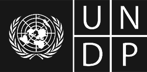 UNDP.png