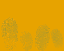Website (6).png