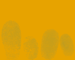 Website (6).png