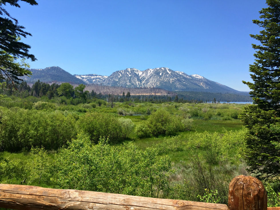 Landscape View 2 - Lake Tahoe