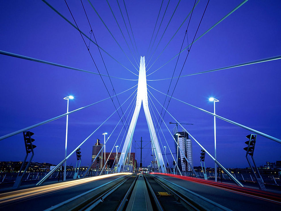 puente-erasmus-rotterdam_1024x768.jpg