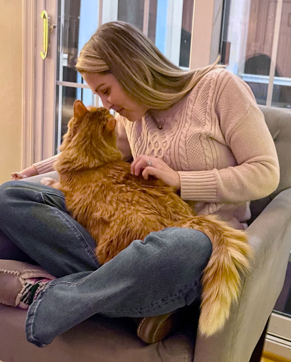 Animal Reiki: Supporting Healing, Comfort, and Connection for Our Beloved Pets