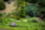 Glendurgan Maze