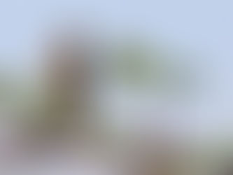 Green Hill Farm Biodiversity Report 2025