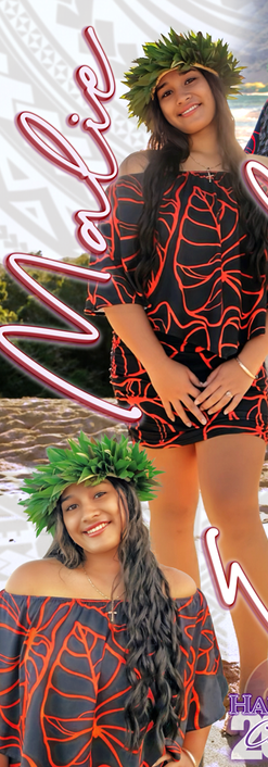 Manifested Excellence Banners made in Hawaii with love. Banner Design. Hawaii Desing. Graduation Design. Graphics.