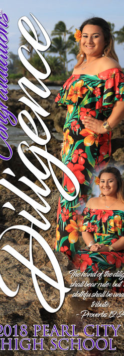 Manifested Excellence Banners made in Hawaii with love