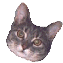 tumblr_a34c7b8de10db29374b57725216651c9_